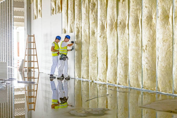 Best Specialized Insulation Services in Pacifi, CA